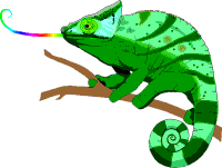 Chameleon